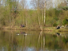 Anangeln 2009
