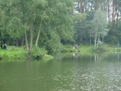 1916