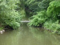 2013