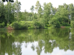 352