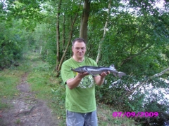 My beautiful picture